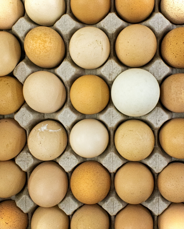Co oznaczają symbole na jajkach